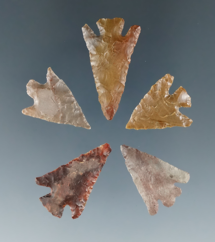 Set of 5 Columbia Plateaus found near the Columbia River, largest is 1 1/8".