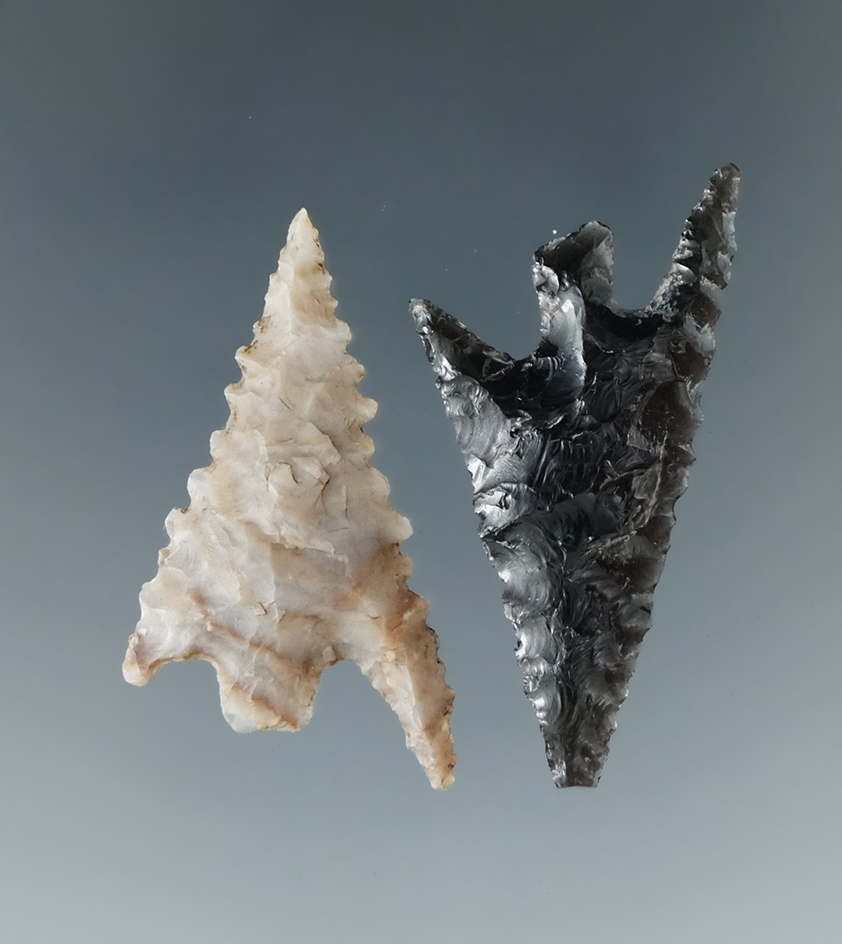 Pair of Columbia Plateaus found near the Columbia River, largest is 1 3/8".