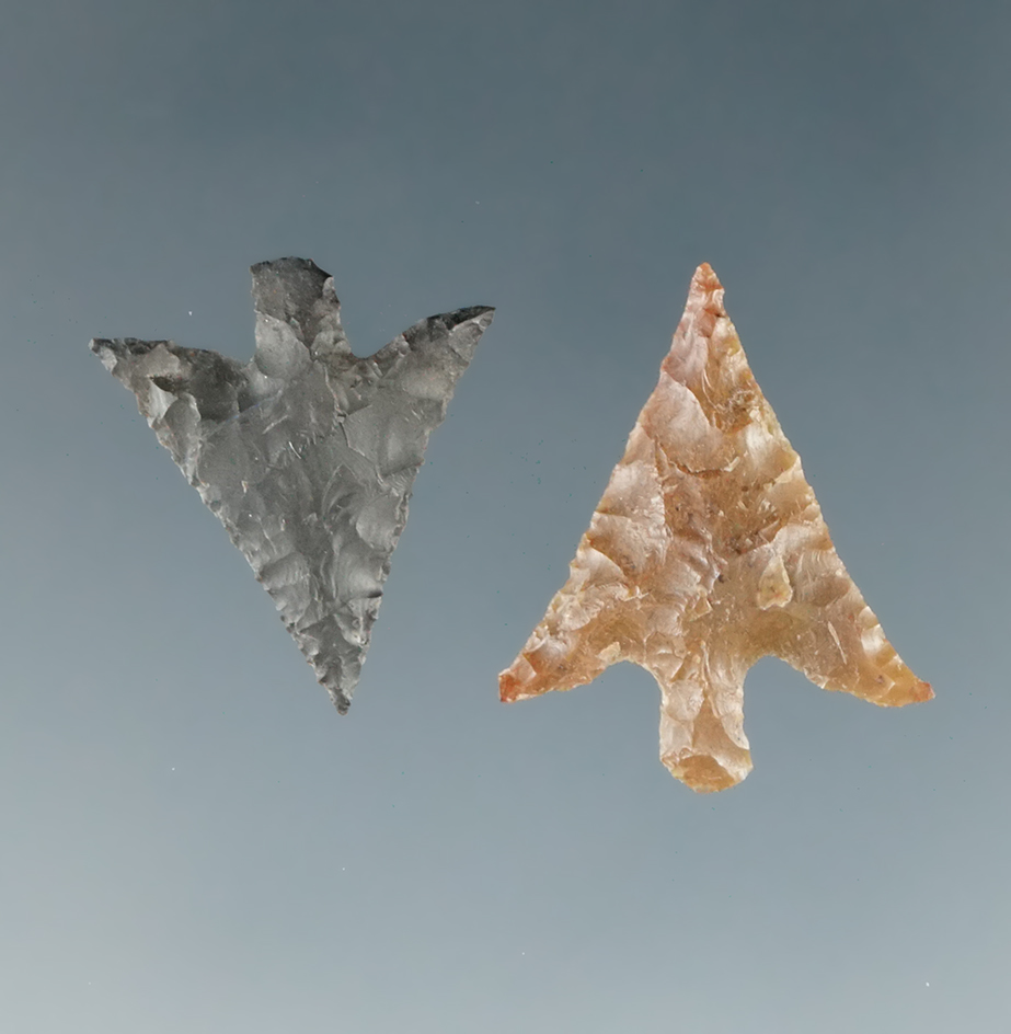 Pair of nice Columbia Plateaus found near the Columbia River, largest is 3/4".