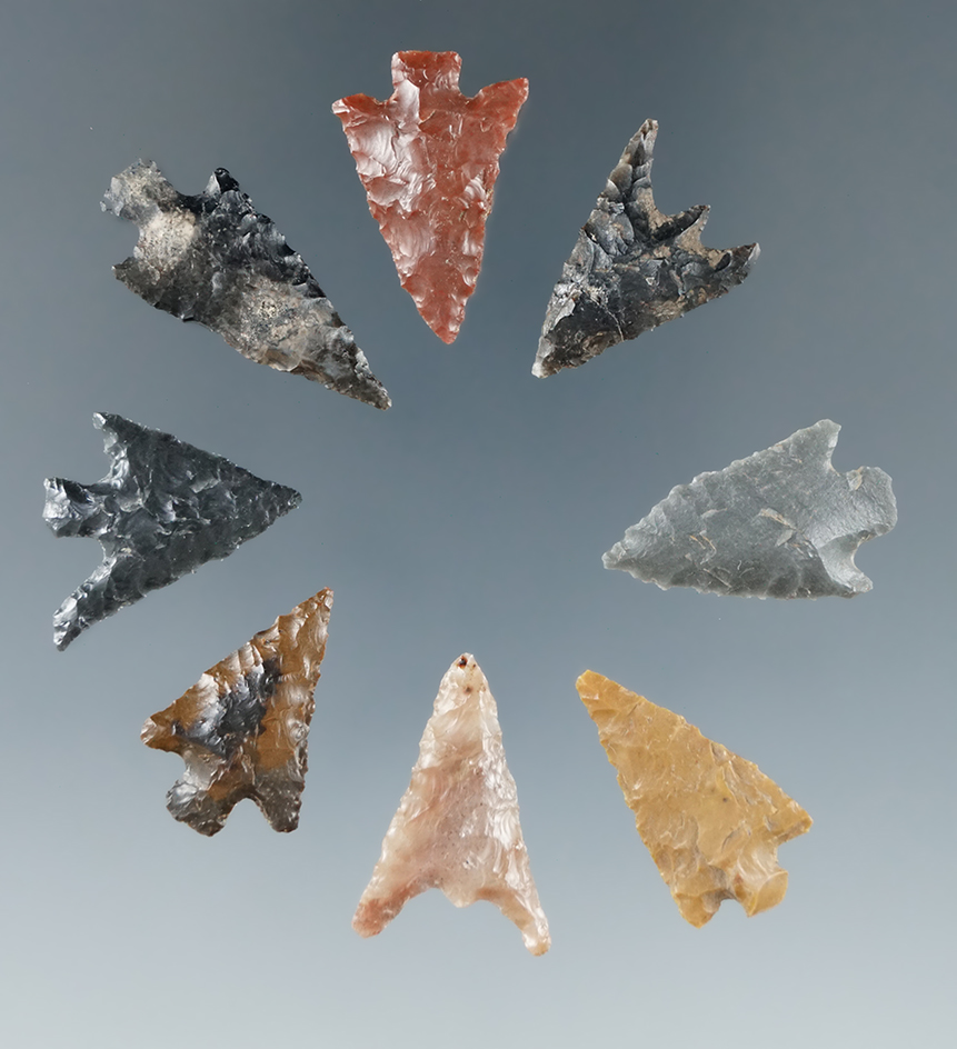 Set of 8 Columbia River arrowheads, largest is 1".