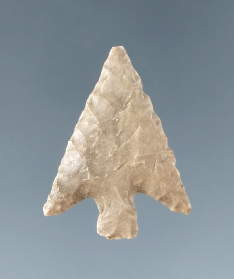 13/16" Columbia Plateau found by Dewey Schmid near the Columbia River prior to 1950.