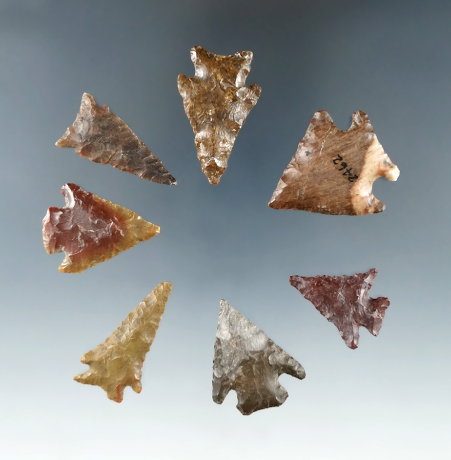 Set of 7 Columbia River arrowheads nice condition, largest is 1 1/4".