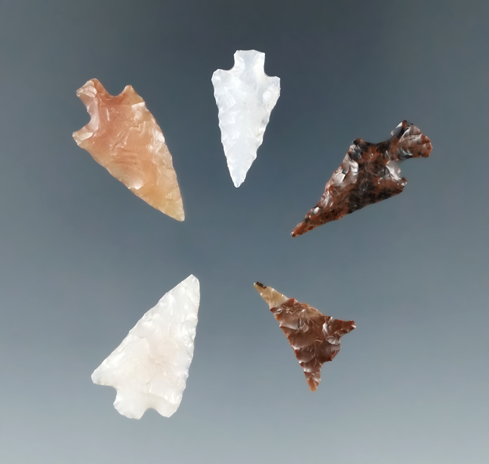 Set of 5 Columbia River arrowheads made from attractive material, largest is 15/16".
