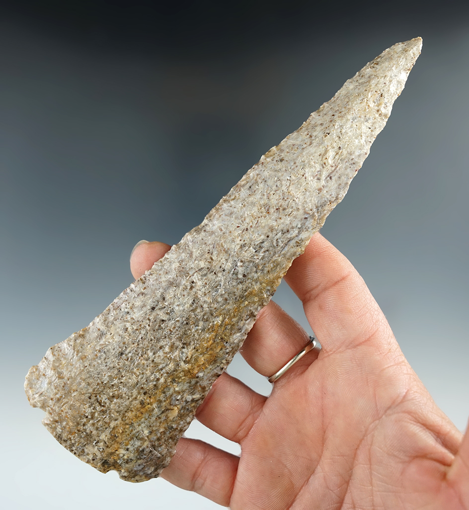 6 7/16" Archaic Basal Micro-Notch Knife found in Indiana. Jackson, Meadows, Motley, Rogers COAs.