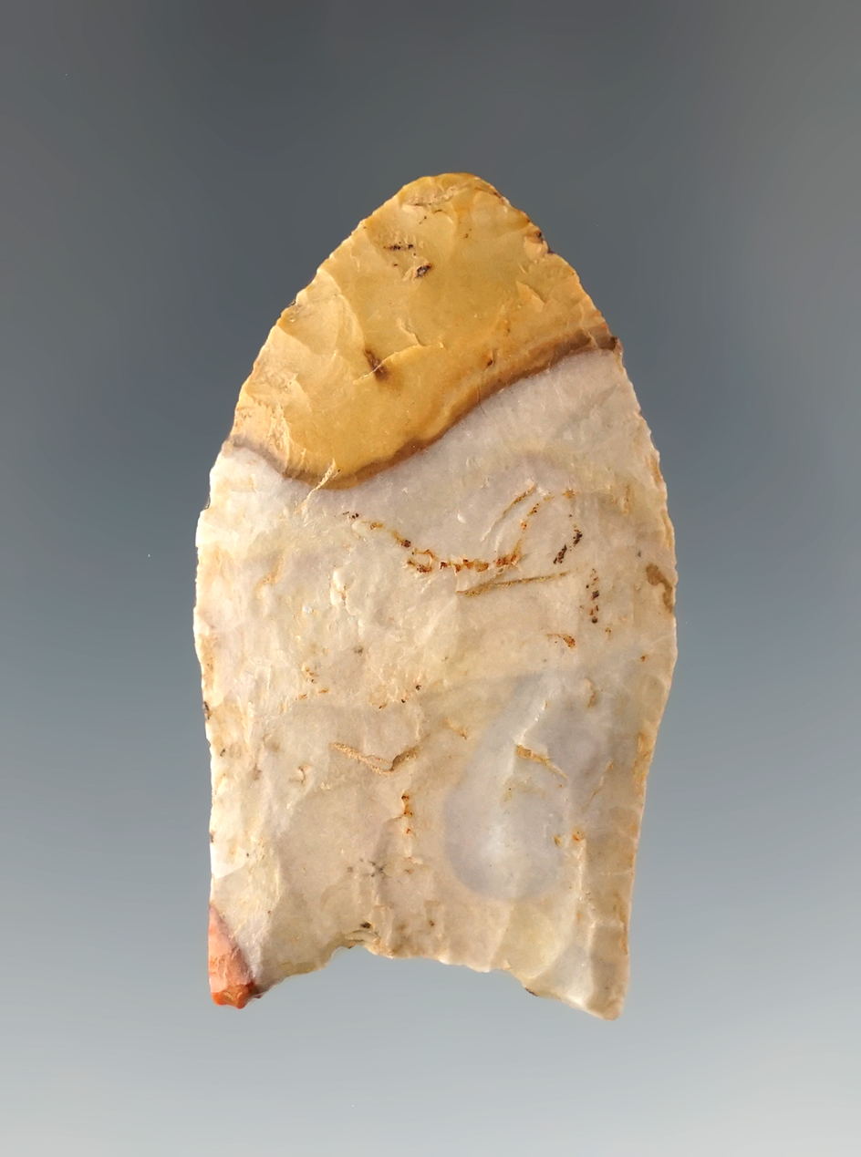 1 13/16" Paleo Fluted Point. Missouri made from attractive multi colored Chert. Bennett COA.