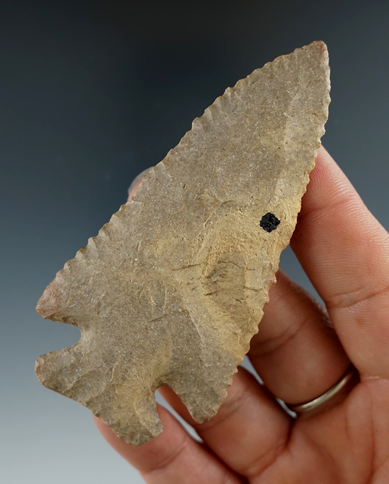 3 3/8" Thin and well made Ft. Payne Chert Archaic Cornernotch. Tennessee.  Ex. Terry Elleman.