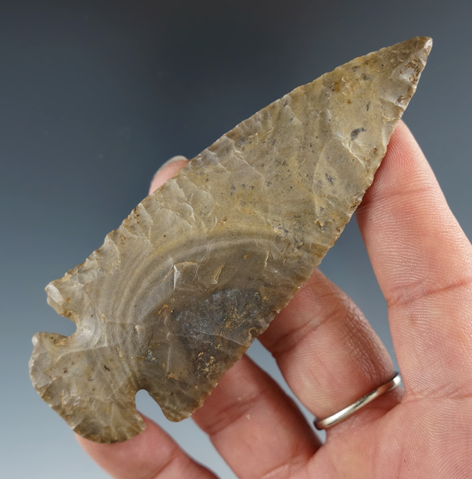 3 15/16" Dovetail found in southern Illinois that comes with a Davis G-8 COA. Ex. William Fri.