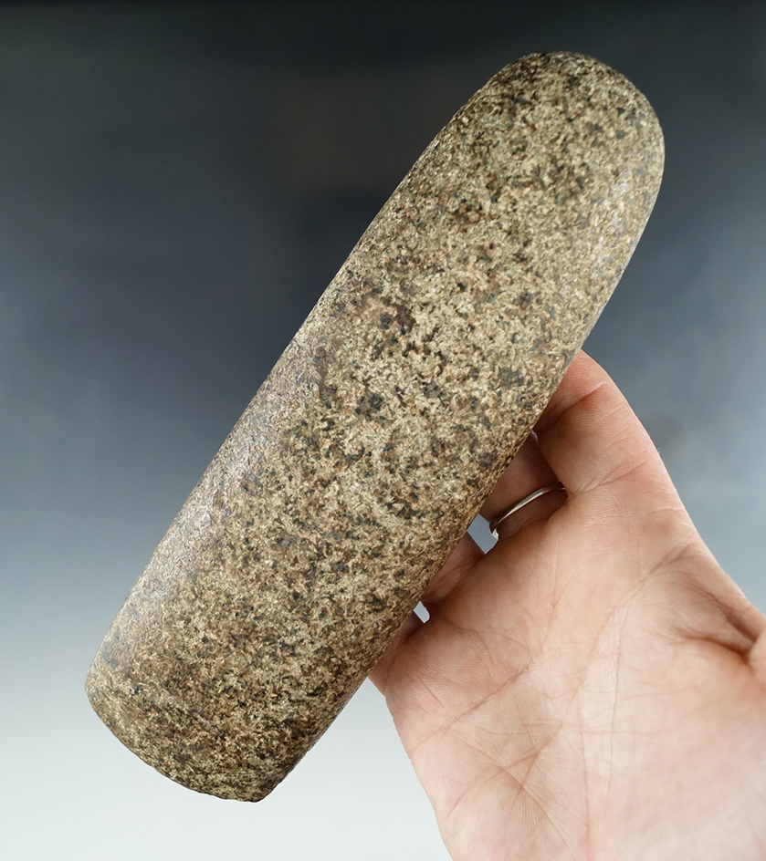 6 13/16" Hardstone Humpback Adze found in Ohio.