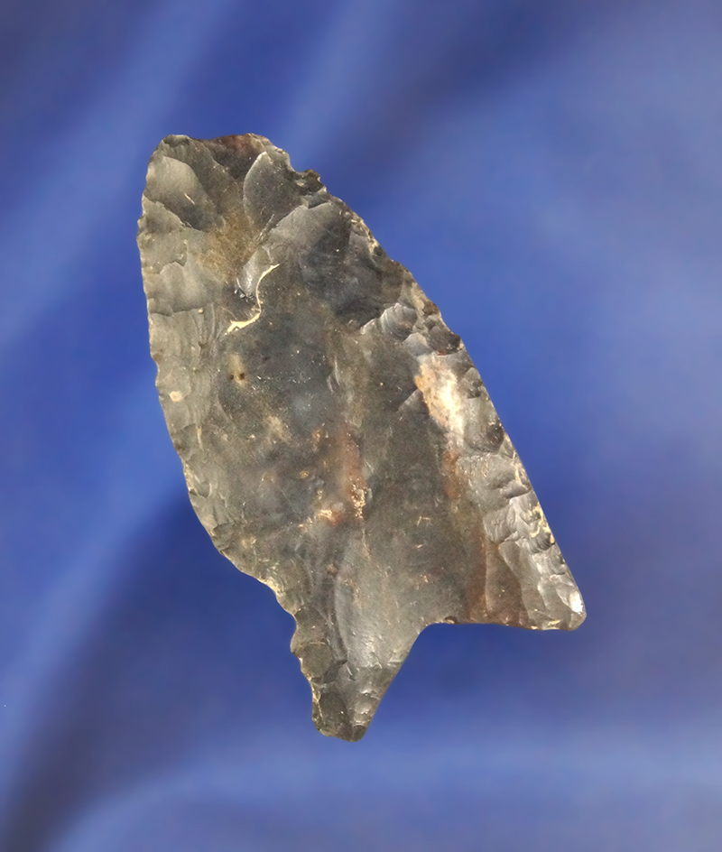 2 1/4" Paleo Fluted Clovis with some ancient fire damage to tip and base found by the Kurtz Family