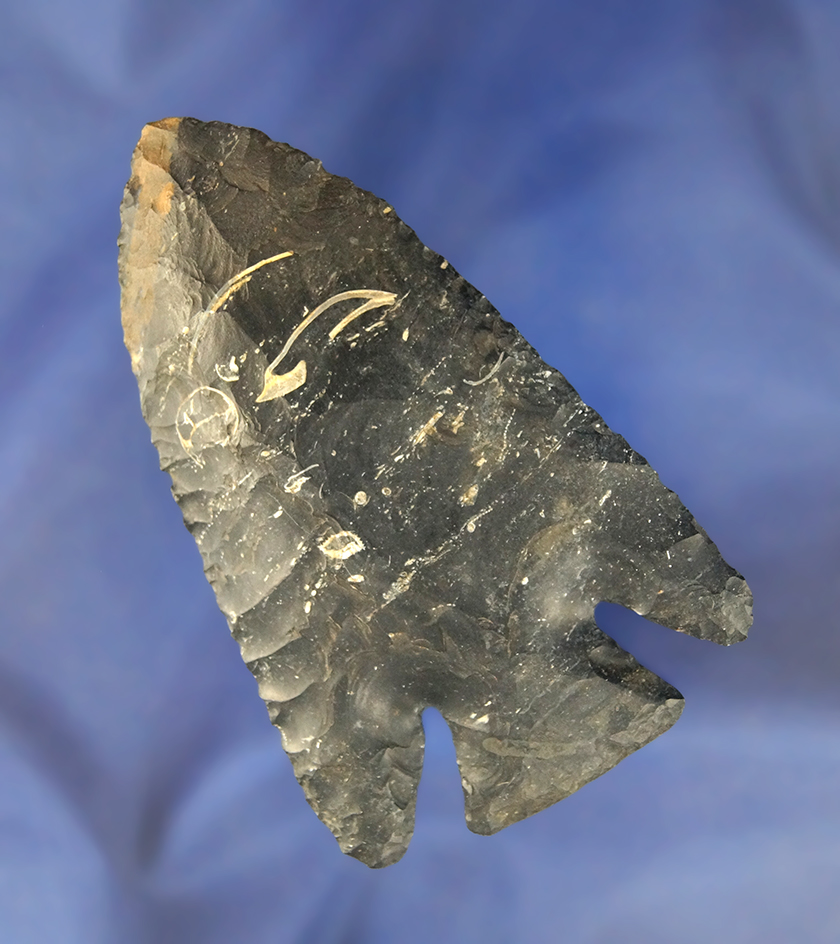 Nice! 3 5/8" x 21/4" wide Coshocton Flint Lost Lake found in Franklin Co., Ohio.  Pictured in CHAPA