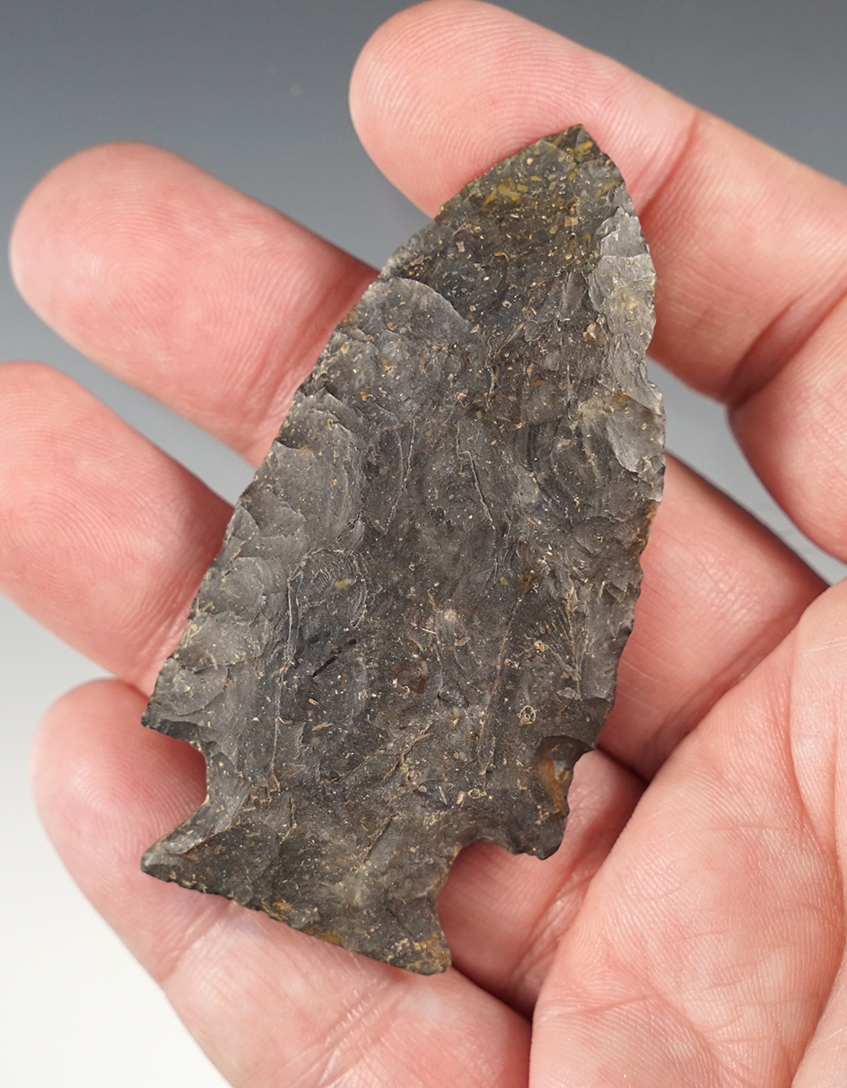 Fine 2 13/16" Archaic Cornernotch - Delaware Co., Ohio. Ex. M. Steele collection.