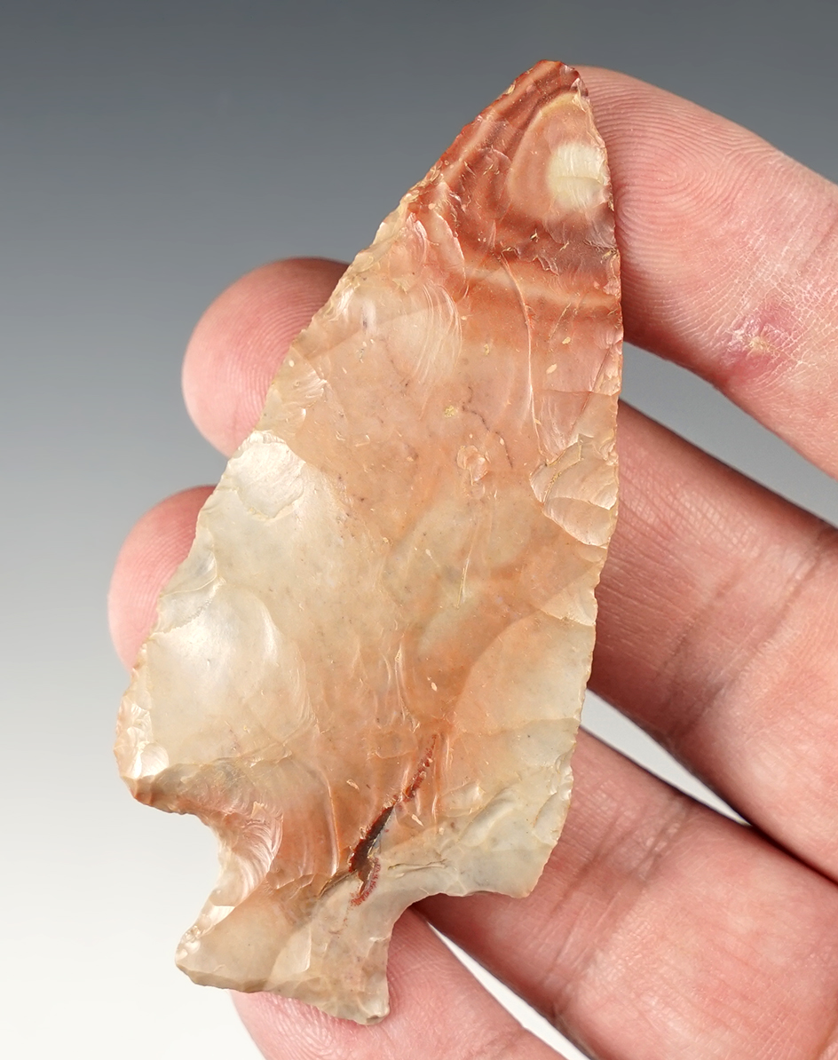 Great color on this 3" Gray and pink Bottleneck Point found in Morrow Co., Ohio. 