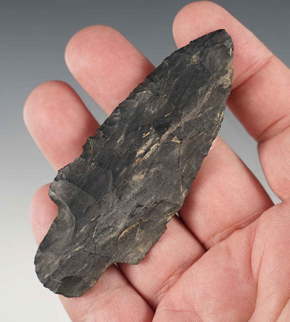 3 1/2" well patinated Coshocton Adena found close to Route 22, Harrison Co., Ohio. Ex. Vargo.