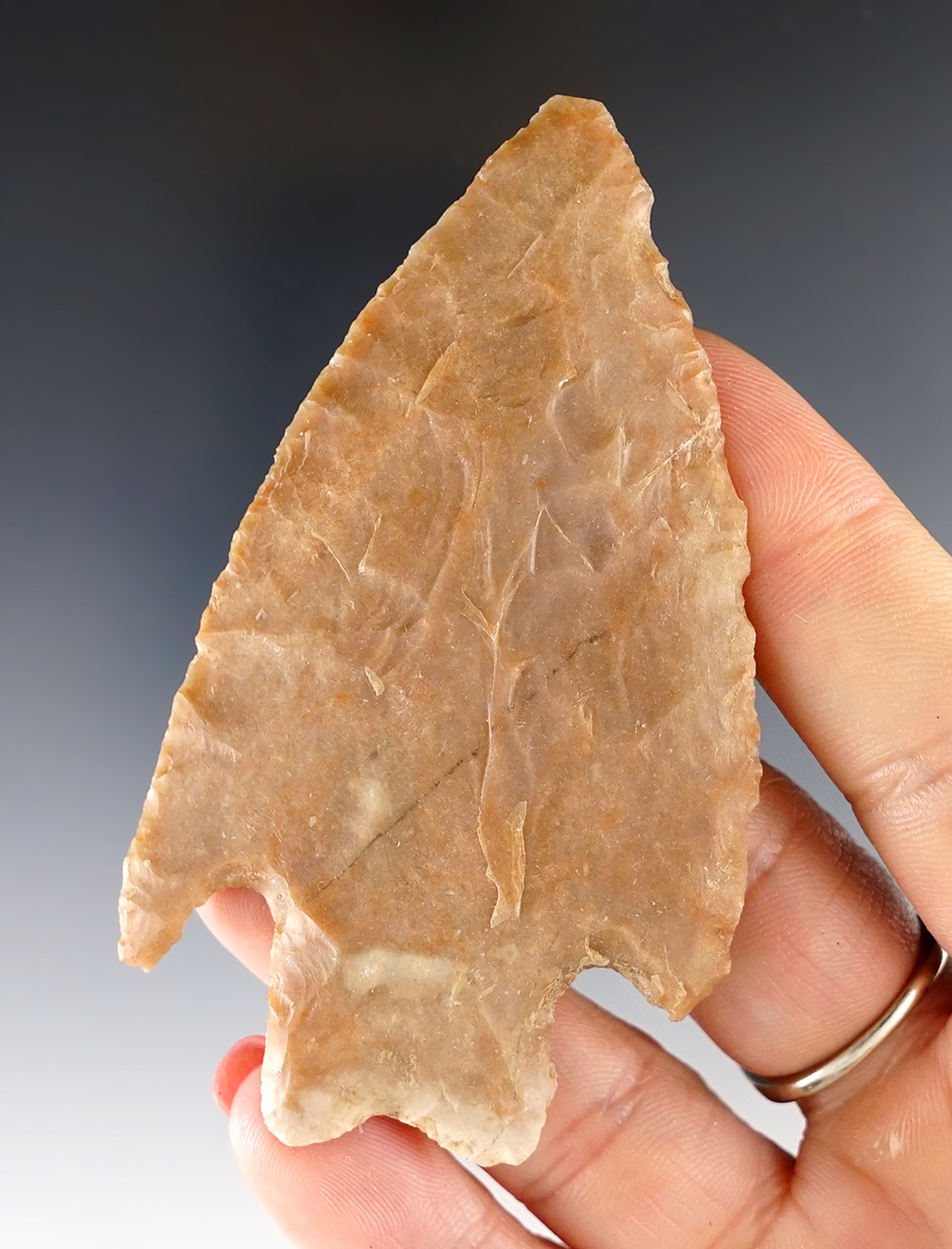 3 1/4" Texas Pedernales in good condition.