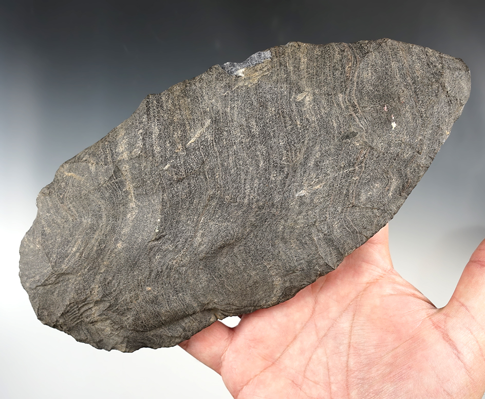 Huge 8 7/8" Blade marked "PPL ISL. N.W. BANK. AB 1913.