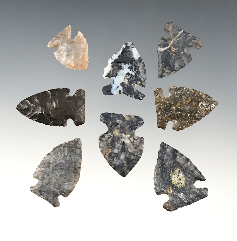 Set of 8 Ohio Intrusive Mound points in good condition. The largest is 1 1/4".