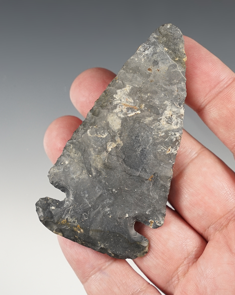 3 3/16" Wide-Base Dovetail. Found in Tuscarawas Co., Ohio. Ex. Frank Meyer collection.