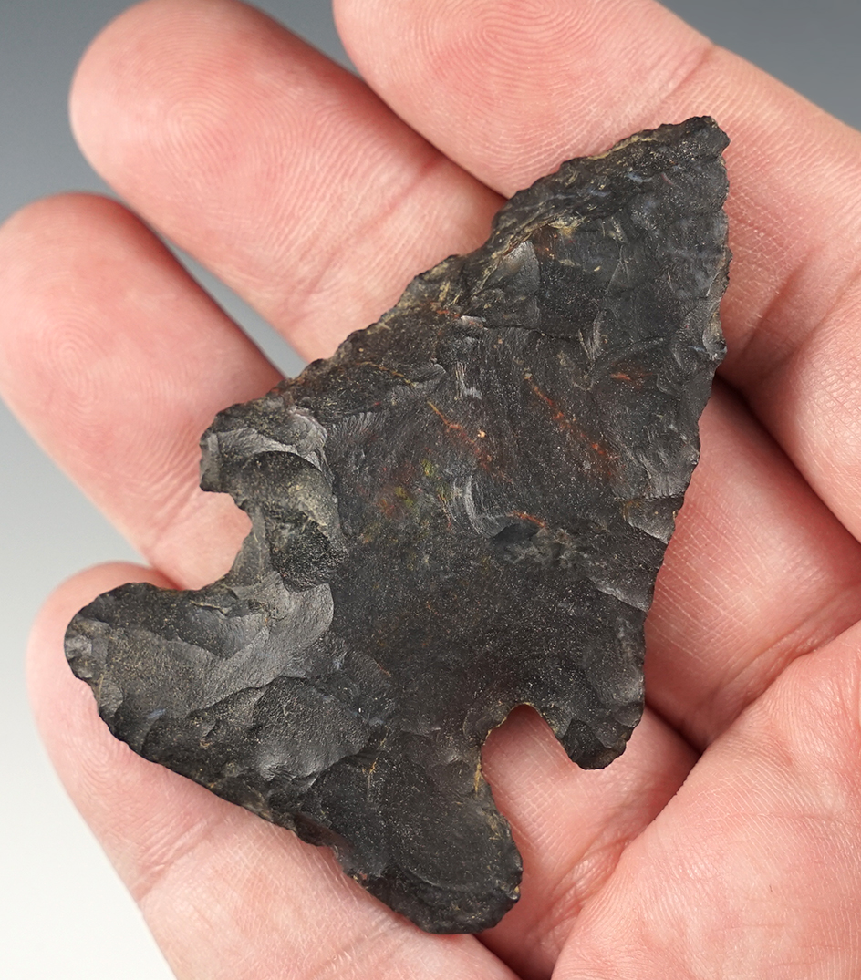 2 1/2" Archaic Bevel made from patinated Coshocton flint. Knox Co., Ohio. Ex. Hooks.