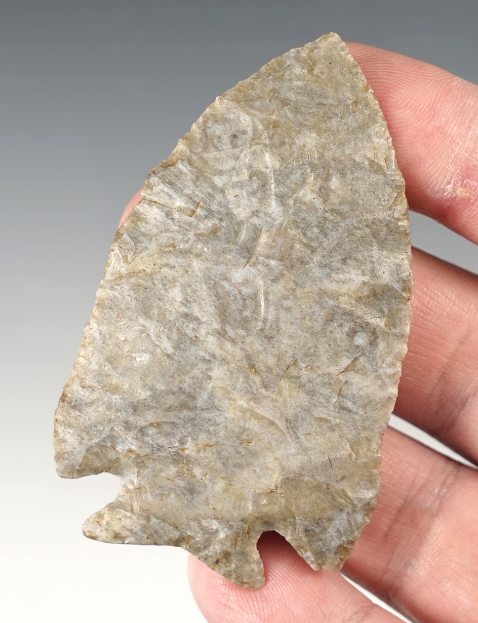 2 13/16" Coshocton Gray Fractured Base Decatur Point, nice example. Richland Co., Ohio.