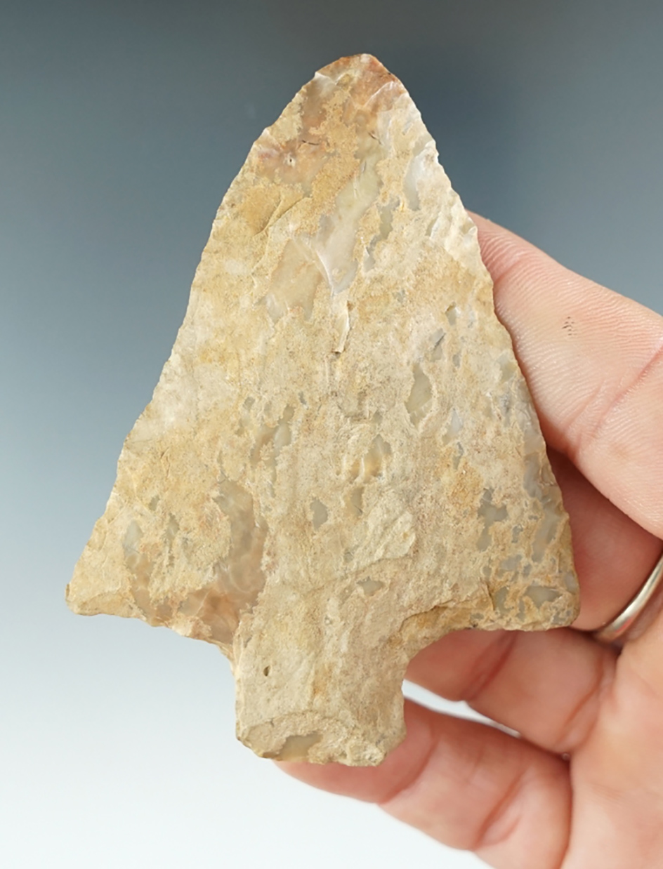 3 1/8" Cotaco Creek made from Ft. Payne Chert, found in Tennessee. Comes with a Davis COA.