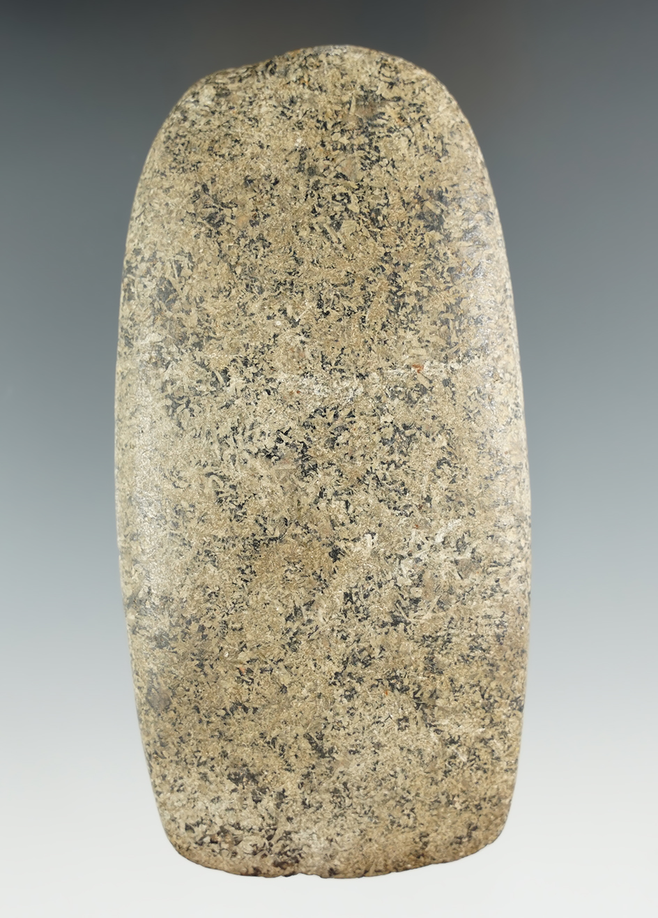 Highly polished 4 3/8" Granite Celt found in Hardin Co., Ohio. Ex. Sorgenfrei Collection.