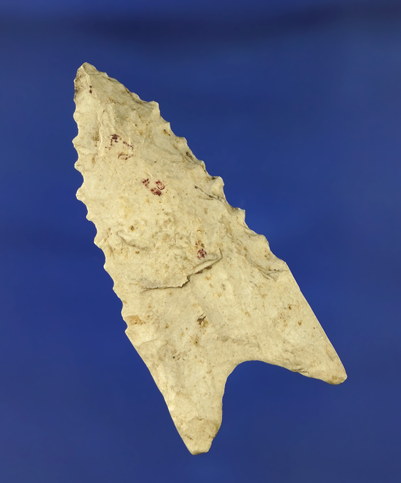 2 1/8" serrated classic Dalton made from Burlington chert found in Ralls Co., Missouri.