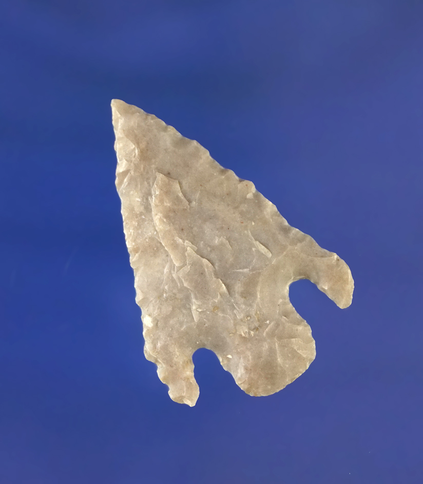 1 7/16" Shumla point found in Texas.