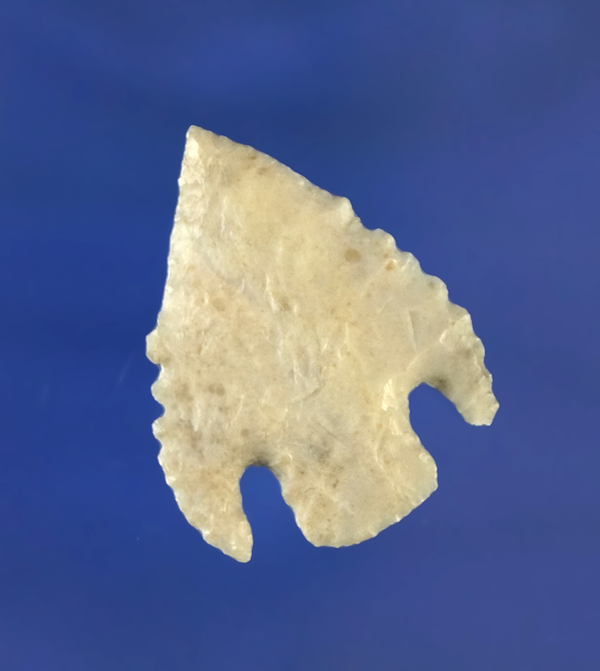 Nicely serrated 1 3/8" Shumla point found in Texas.