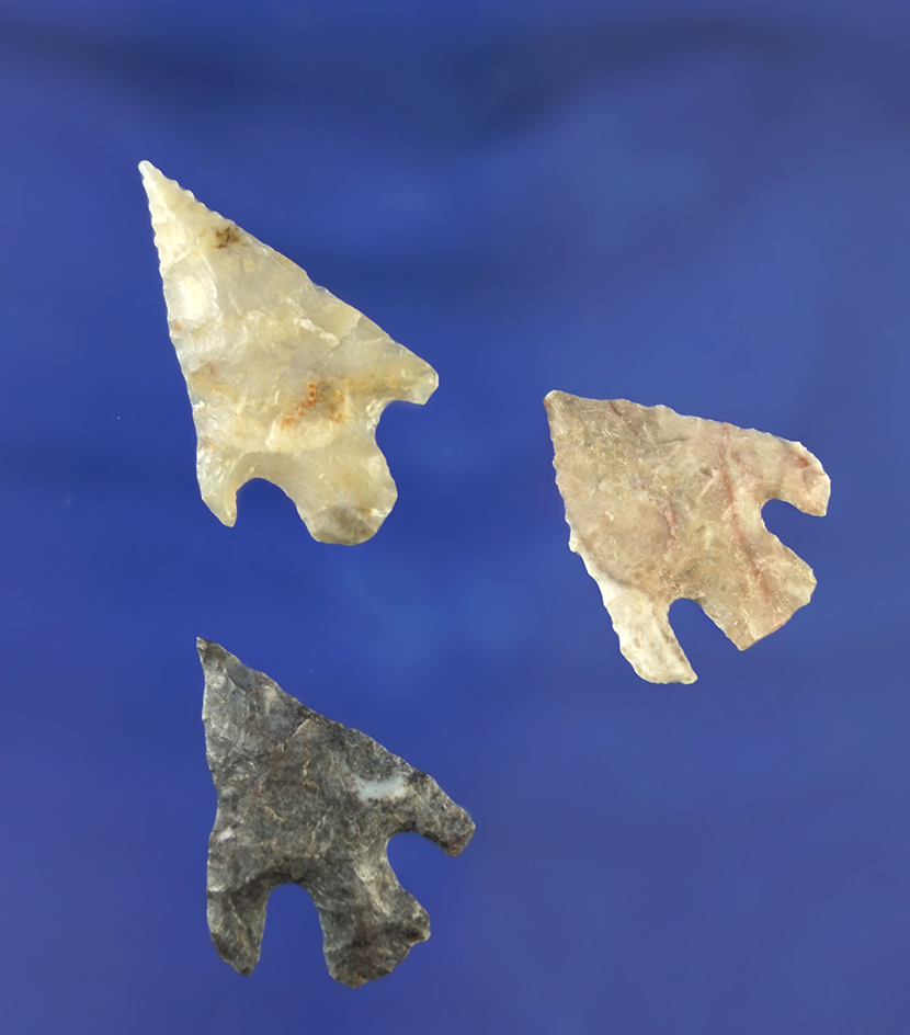 Set of three nice Shumla points found in Texas, largest is 1 1/4".
