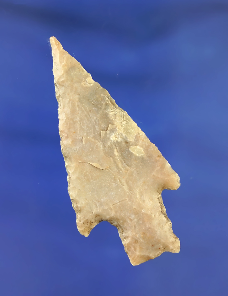 2 11/16" Langtry point found in Kaye Co., Texas.