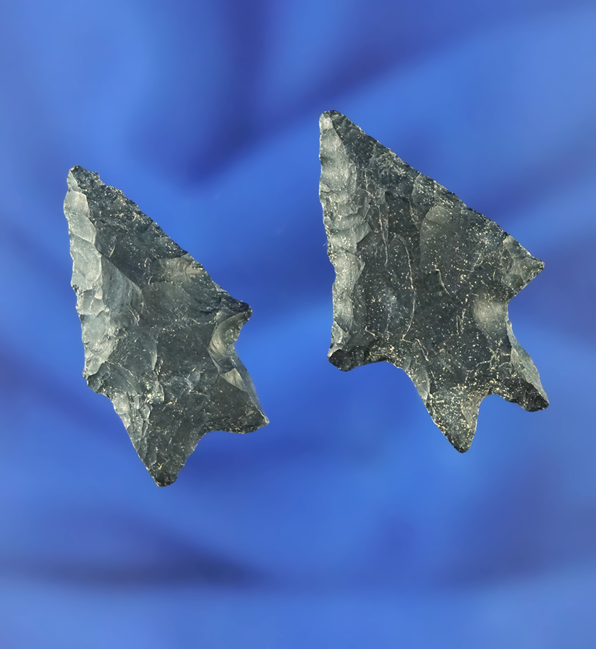 Pair of burinated base Lake Erie Bifurcates made from Coshocton Flint found near Prospect Ohio.