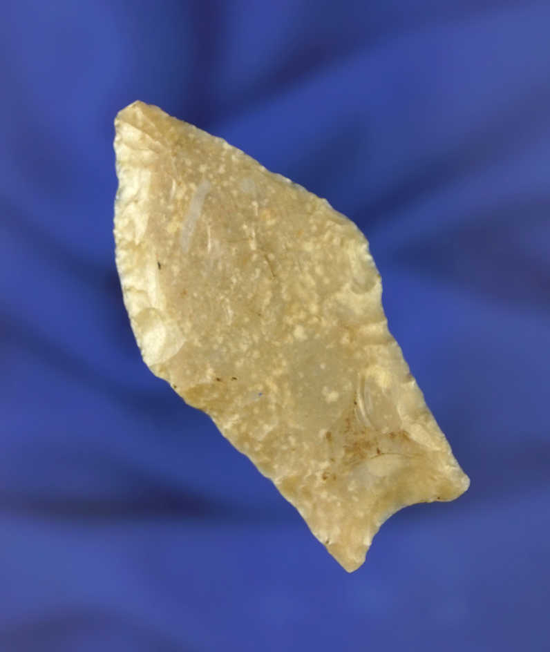 Nice! 2 1/8" Paleo Hell Gap found near dripping Springs Texas. Comes with a Bennett COA.