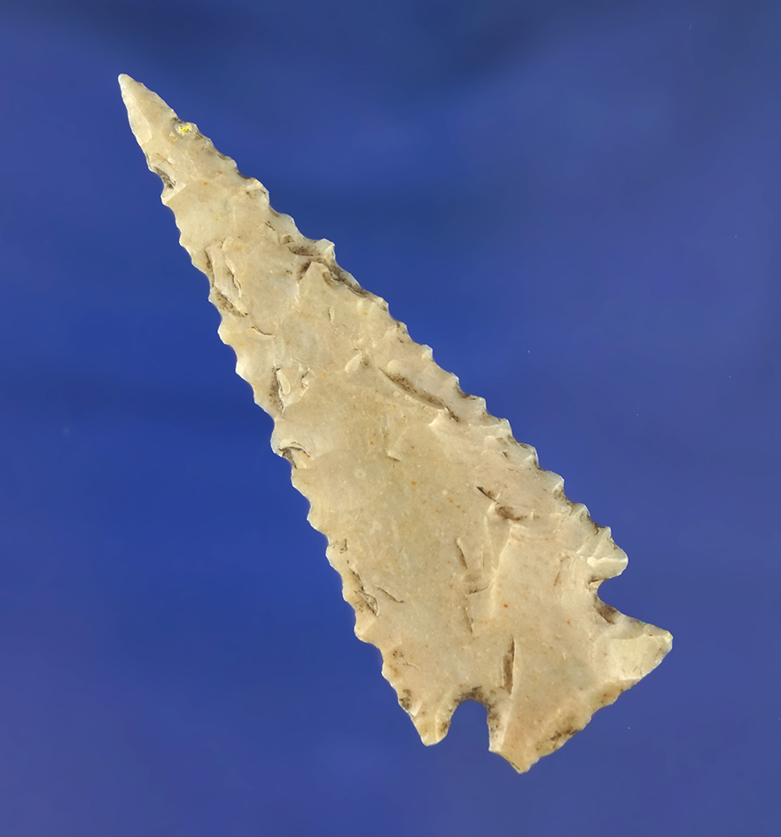 2 5/8" Ensor point with nice edge serrations found in Texas. Comes with a Bennett COA.