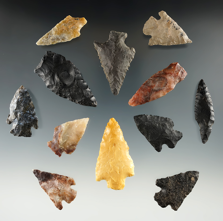 Group of 12 assorted points found near the Columbia River. Largest is 1 11/16".