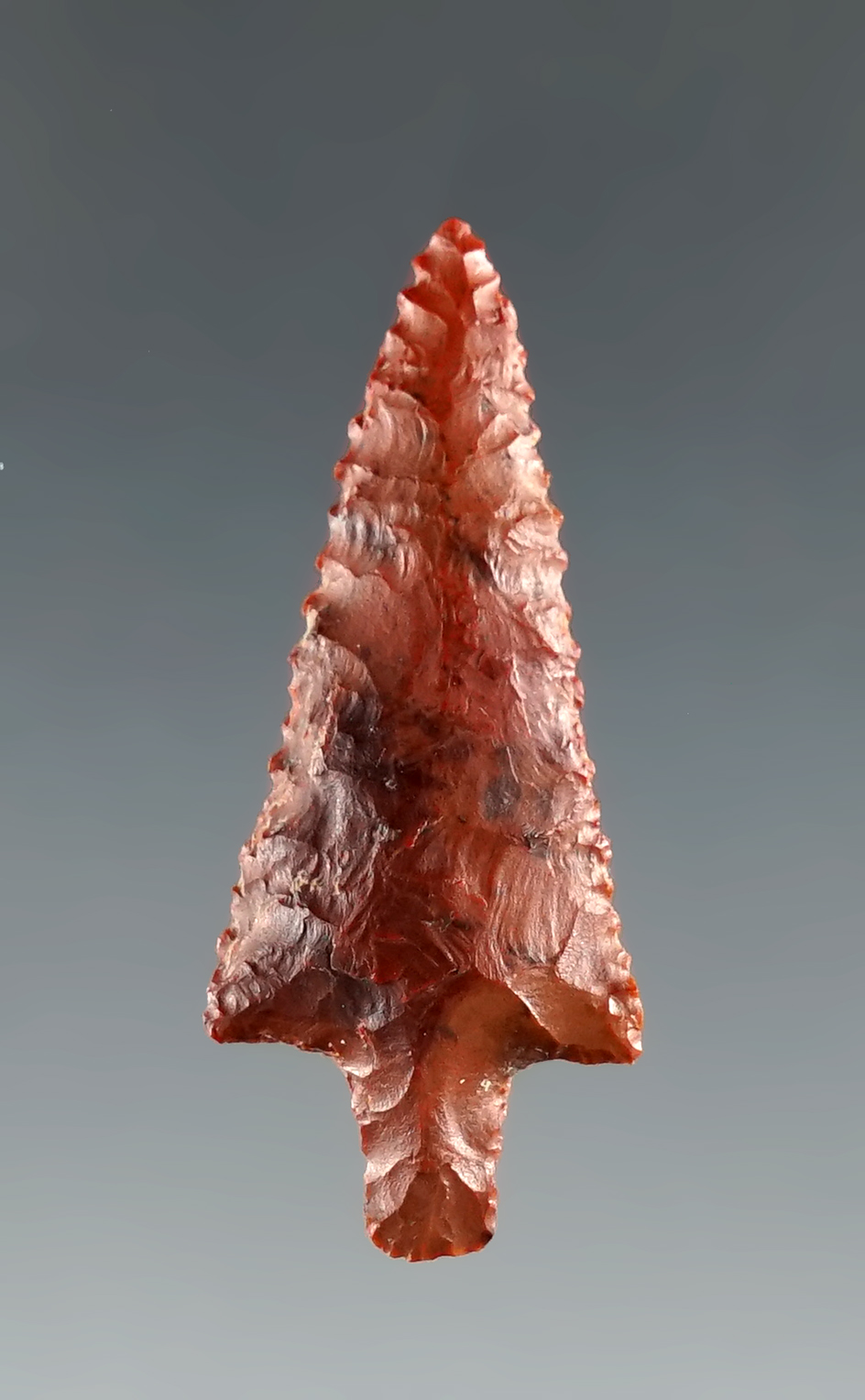 1 3/16" Walulla that is beautifully flaked from attractive red Jasper found in Klickitat Co., WA
