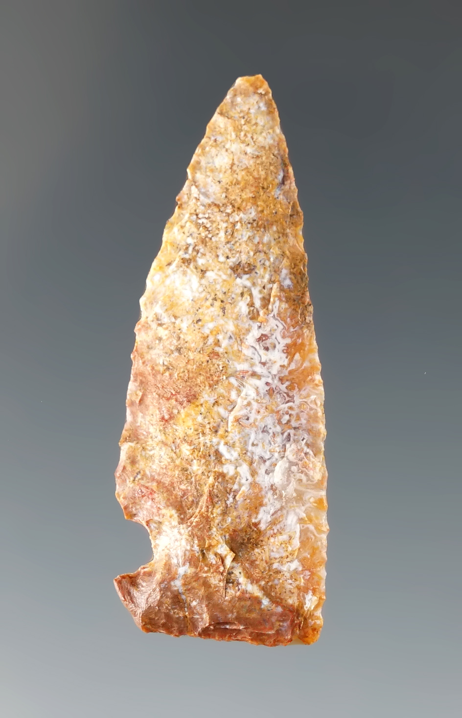 1 1/2" Pipe Creek point found in Uvalde Co., Texas. Ex. Don Meador.