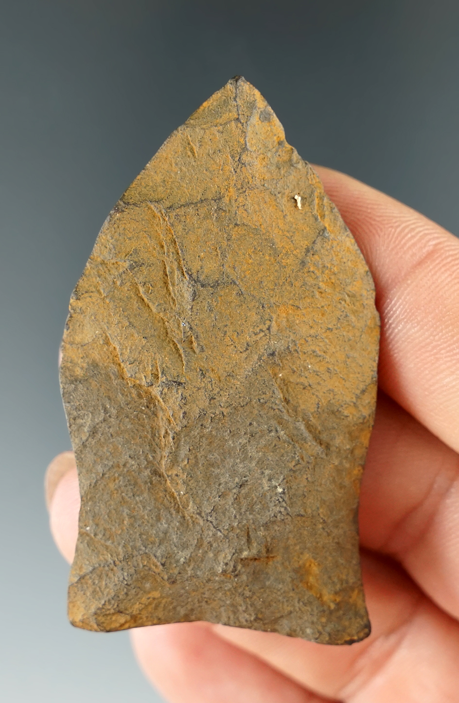 2 5/16" nicely styled Copena found in Tennessee.