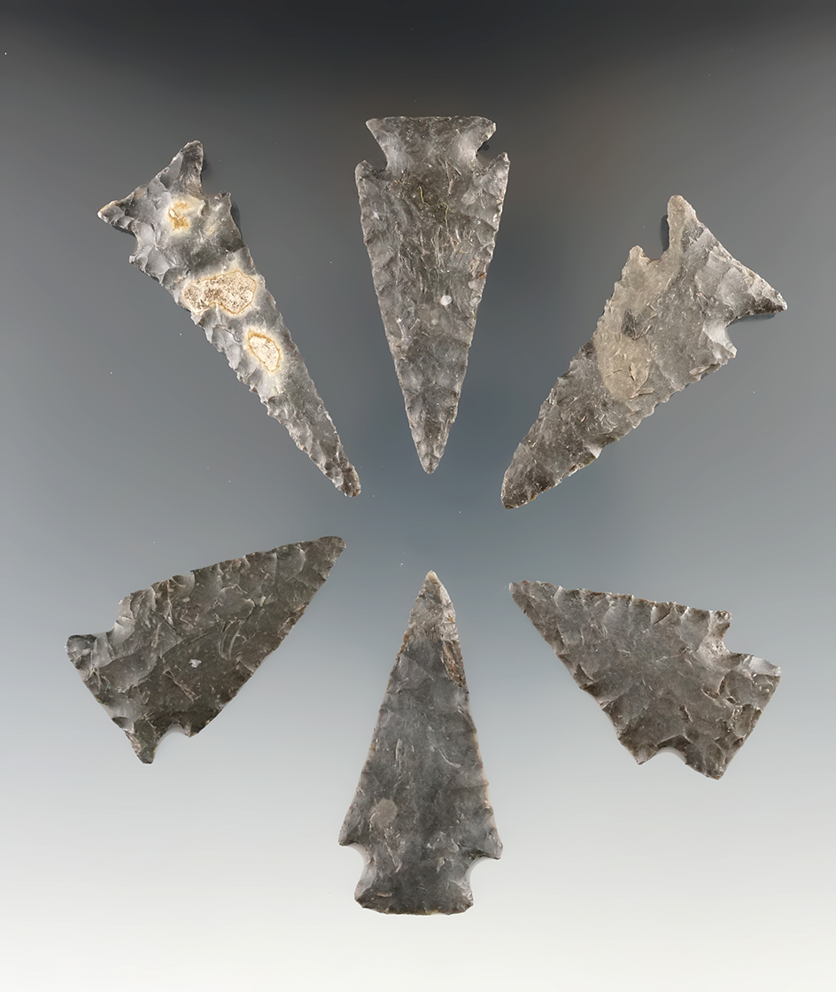 Six Ensor points that are well styled found in Texas. Largest is 2 1/4".