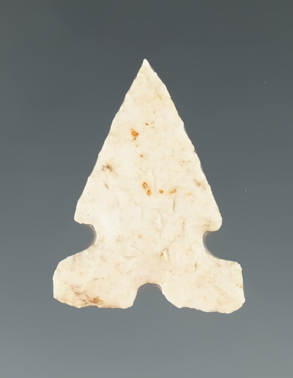 3/4" Harrell point found in Texas.