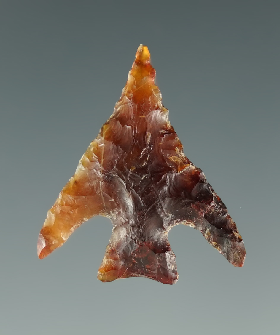 Nicely styled 3/4" Columbia Plateau made from attractive high quality semi-translucent material