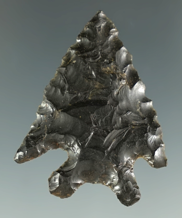 1 7/16" Obsidian Elko Split Stem found in Oregon.