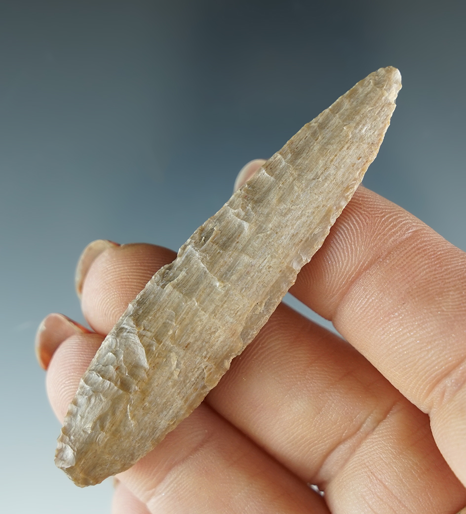 2 9/16" Petrified Wood Cascade with exceptional flaking and very nice banding in material.