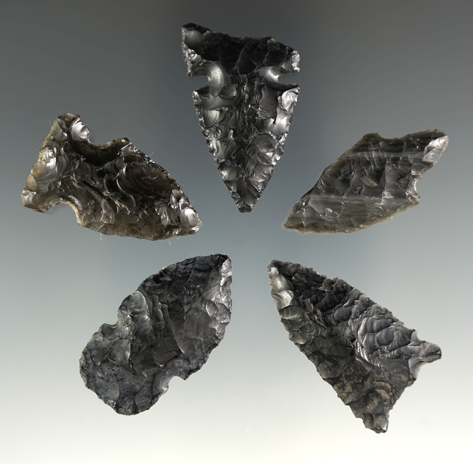 Set of five Obsidian arrowheads found in Oregon. Largest is 1 9/16".