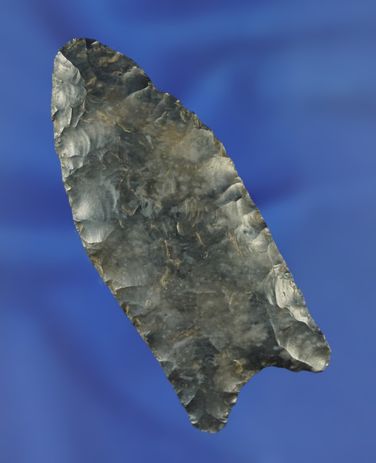 2 11/16" Paleo fluted Clovis - high-quality Coshocton Flint - Mercer Co.,  Ohio. Bennett COA.