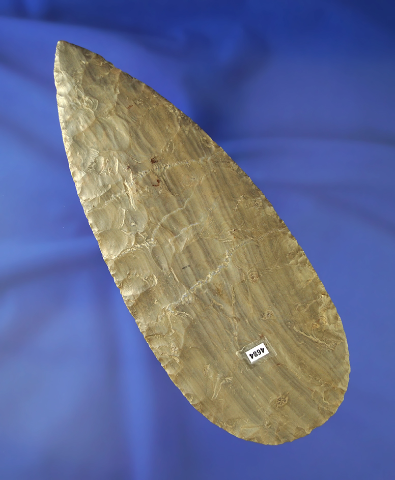 Sale Highlight! 6 7/8" Flint found in Fulton Co.,  Ohio. Ex. Fred Burtt, Richard Shively collections