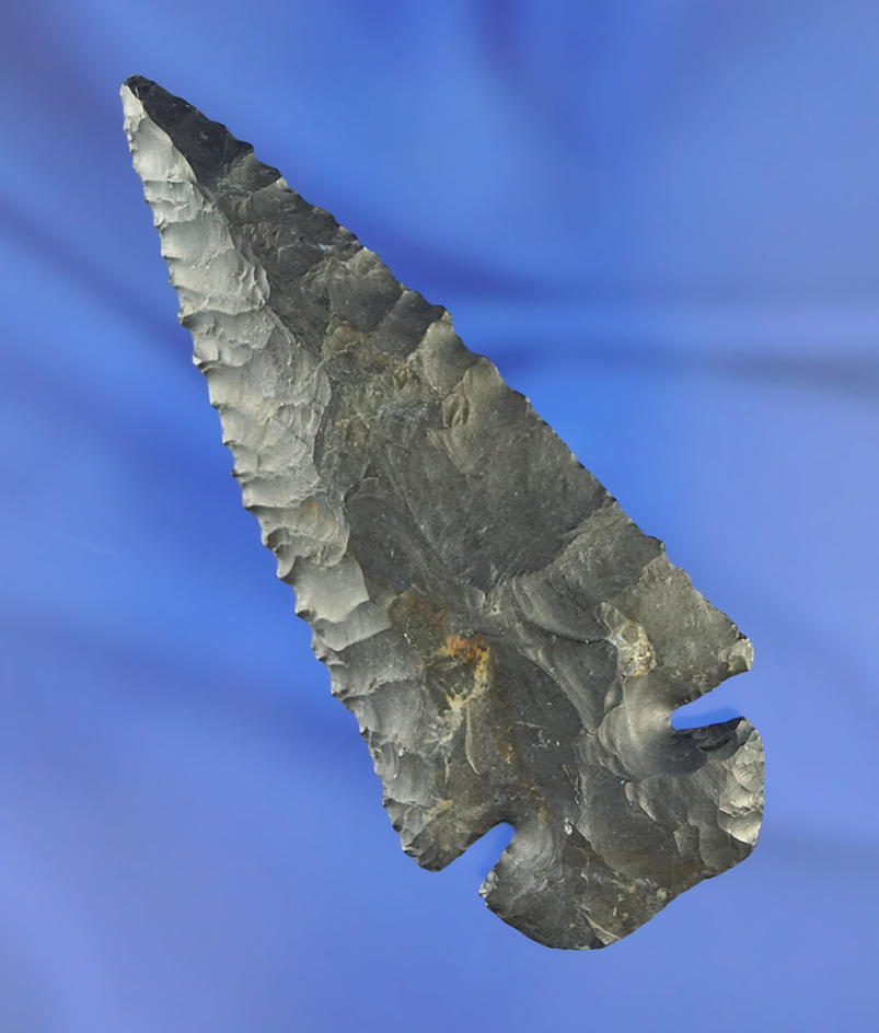 3 3/8" Finely chipped Archaic Dovetail - Coshocton Flint and found in Coshocton Co., Ohio.