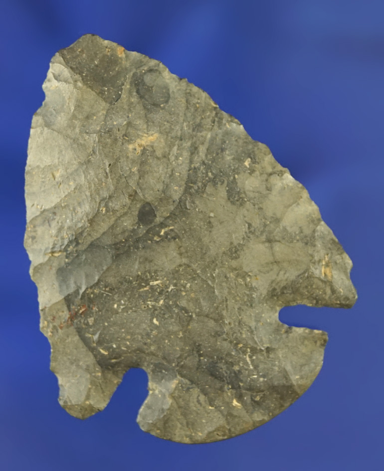 2 1/8" Dovetail made from Nellie variety Coshocton Flint found in Knox Co.,  Ohio in the 1960s.