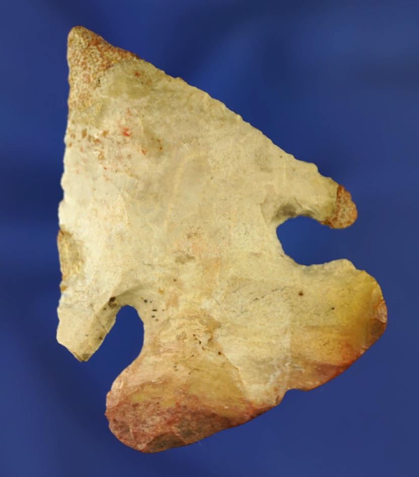 2 5/16" Archaic Thebes Bevel with minor restoration to the tip, ear, small ding on the blade edge.