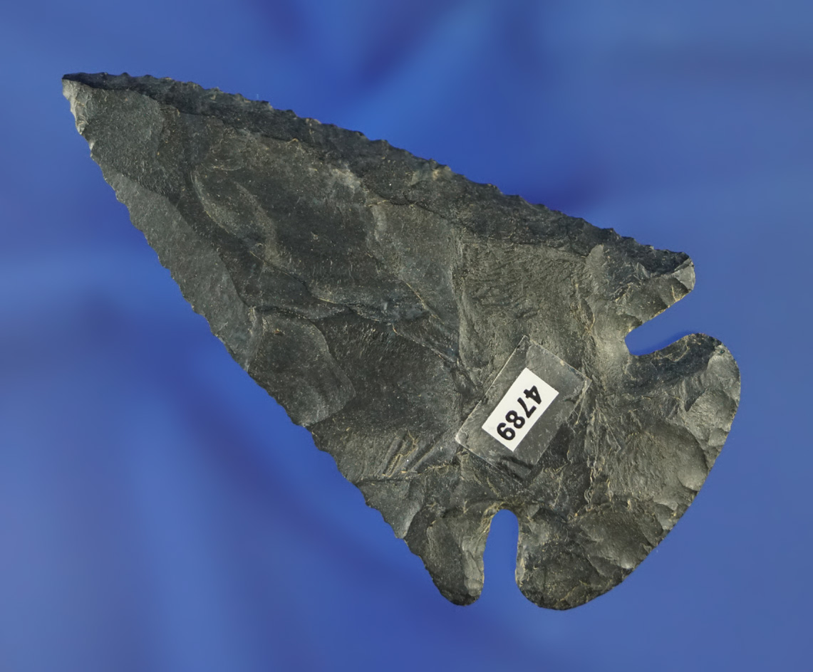3" nicely Beveled Coshocton Flint Dovetail found in Ohio. Ex. Richard Shively collection.