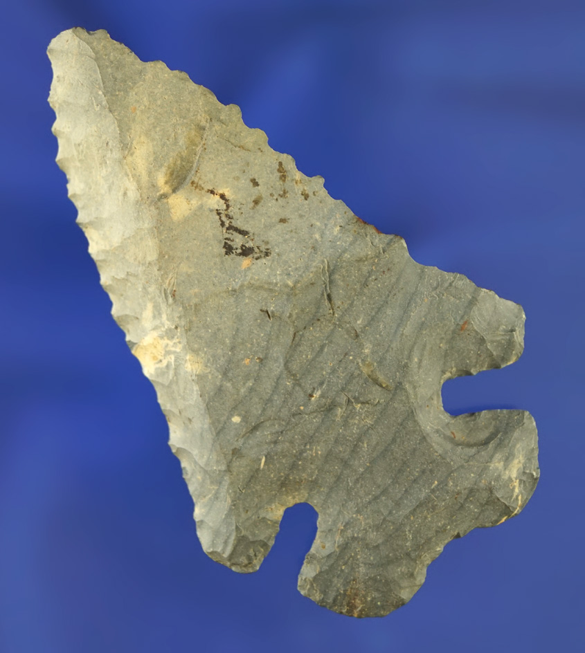 Nicely Beveled 2 7/8" Nellie variety Coshocton Flint Thebes Bevel found in Knox Co.,  Ohio.